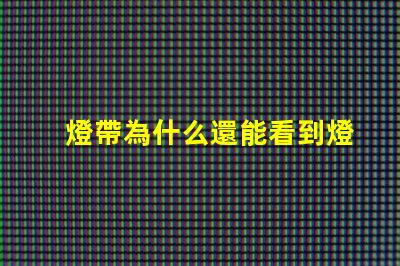 燈帶為什么還能看到燈珠 為什么隱藏了燈牌還能看到